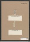Navicula discrepans A.Schum. (de-Toni-Nr.: Genus 1, Species 353) Zeichnungen Sammlung Grunow Nr. 800 (NHMW-BOT-W0367222)
